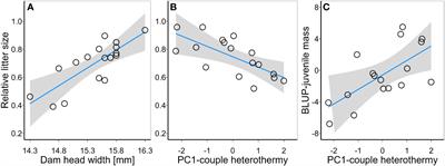 Heterothermy use in winter is associated with reduced litter size during following breeding season